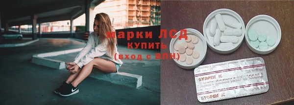 шишки Корсаков