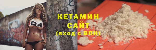 шишки Корсаков