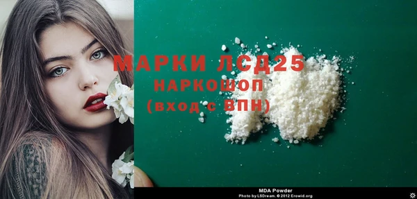 шишки Корсаков