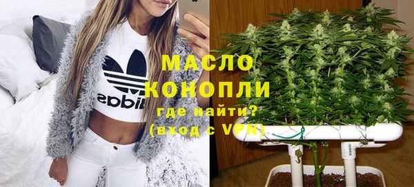 шишки Корсаков