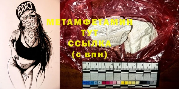 шишки Корсаков