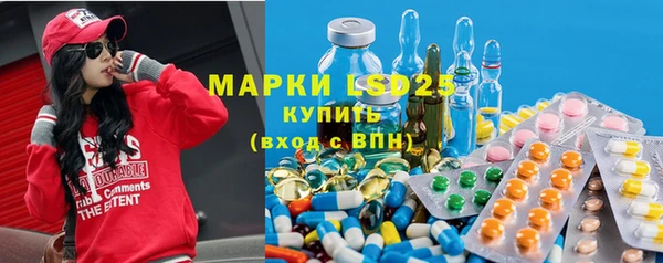 шишки Корсаков