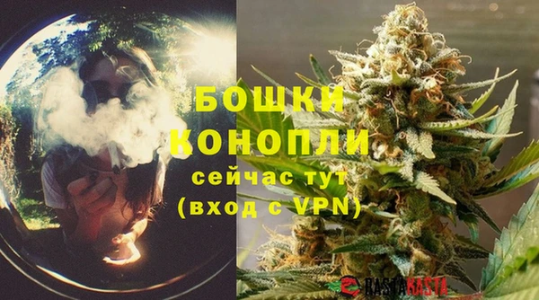 шишки Корсаков