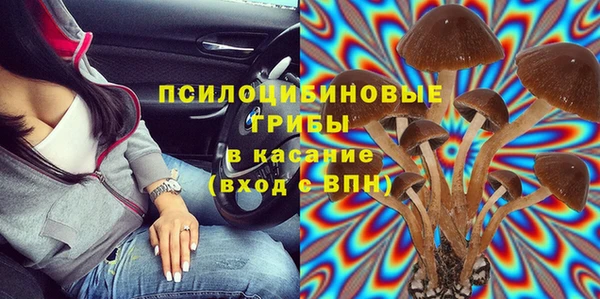 шишки Корсаков